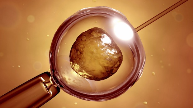 British Scientists Have Started Genetically Modifying Human Embryos