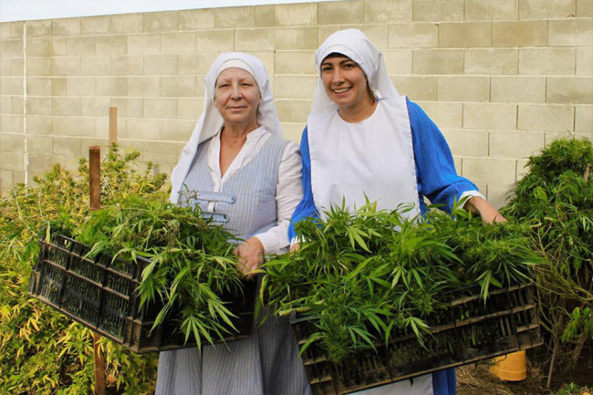 Nuns Run An Illegal Marijuana Business Grossing Over $400K per Year, So Why Haven't They Been Arrested?