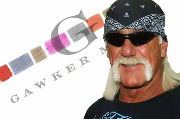 Hogan vs Gawker