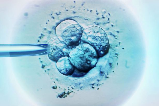 Human-Embryo