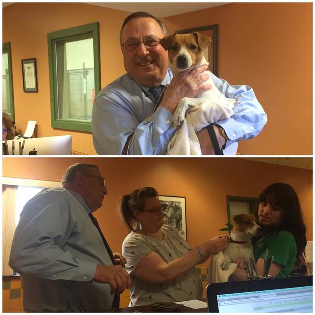 Gov. Paul LePage adopted a dog at the Greater Androscoggin Humane Society in Lewsiton on Tuesday.
