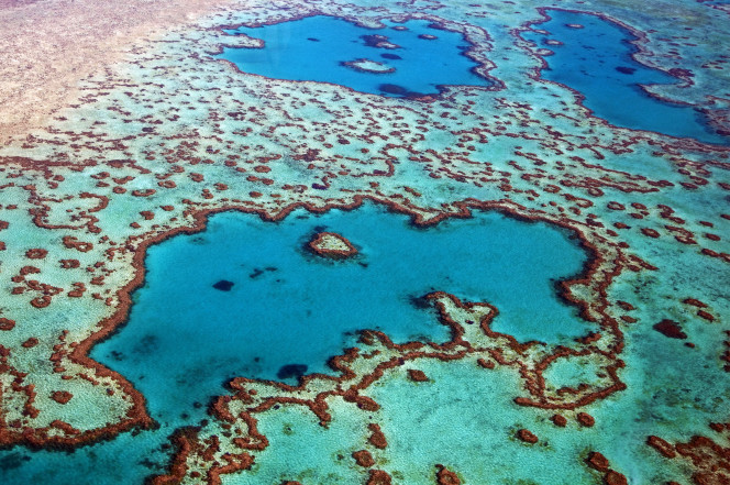 The Great Barrier Reef Off Of The Queensland Austrailia Is Dead At 25 Million Years