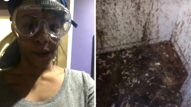 Azealia Banks Is Captured On Video Sacrificing Chickens In Her Closet