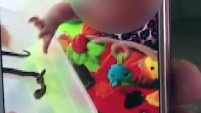 [VIDEO] Florida Mother Charged With Allowing A Snake To Bite Her Baby & Laughs
