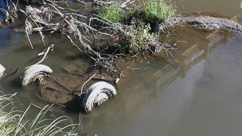 Bodies of girls missing from 1971 found in creek