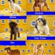 Puppy bowl