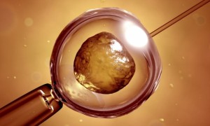 British Scientists Have Started Genetically Modifying Human Embryos