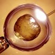 British Scientists Have Started Genetically Modifying Human Embryos