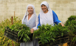Self- Proclaimed Nuns Run An Illegal Marijuana Business Grossing Over $400K per Year, So Why Haven't They Been Arrested?