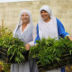 Self- Proclaimed Nuns Run An Illegal Marijuana Business Grossing Over $400K per Year, So Why Haven't They Been Arrested?