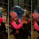 Video: Baby Sister Surprises Big Brother With A Pet Hamster; Watch Him Burst Into Happy Tears