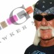Hogan vs Gawker