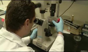 Researchers Are Closer To Developing Male Birth Control Pills