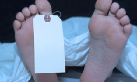 Scientists Given The O.K To Ressurrect The Dead With Stem Cells