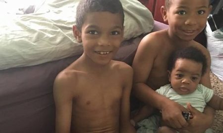 sons stabbed to death by mother