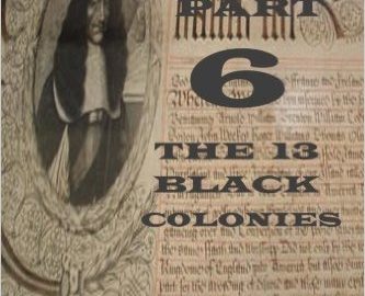 New Book: "The Negro Question Part 6 The 13 Black Colonies"