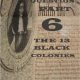 New Book: "The Negro Question Part 6 The 13 Black Colonies"