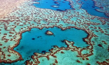 The Great Barrier Reef Off Of The Queensland Austrailia Is Dead At 25 Million Years