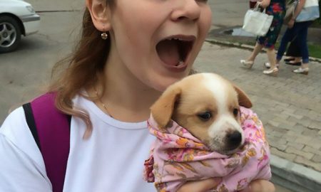 Evil Teenage Girls Tourture & Kill Animals While They Videotape Their Crimes