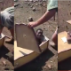 White Men Forcefully Puts A Black Man In Coffin With Plans Of Burrying Him Alive
