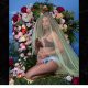 beyonce-twins-pregnant