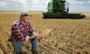"Build That Wall" Not So Fast, American Farmers Pissed Because They Can't Find Workers To Harvest Their Crops & Now Blames Trump