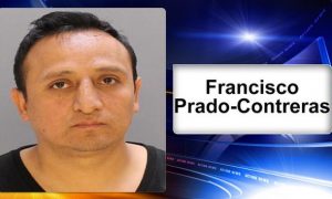 Francisco Prado-Contreras