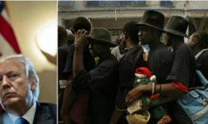Trump Has Officially Enacted A Ban On Haitians Wanting To Apply For Visas To Do Low-Skilled Jobs