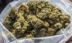 NYPD Being Severely Scrutinized When Stats Reveal That Almost 90% Of Marijuana Arrests Are Black or Latino People Only