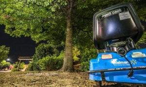 Woman's Body Found Hanging From Big Tree In South Fulton Georgia, Police Claim It Was Suicide Not A Lynching