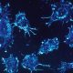 HEALTH NEWS: Cancer Cure Me Be One Year Away According To Israeli Scientists